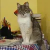 Отзыв от Вика Калмыкова